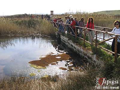 il fiume morelli