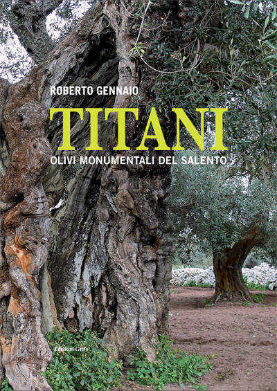 Titani - Olivi monumentali del Salento