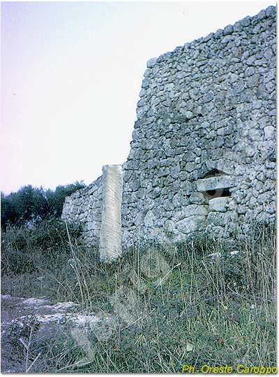 menhir del chipuru