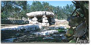 Il Dolmen Li Scusi a Minervino