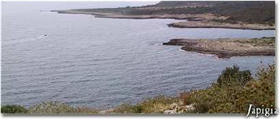 La scogliera di Porto Selvaggio