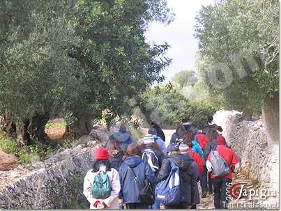 avanguardie trekking al monte di ostuni il 5 febbraio 2006