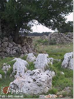 strade di campagna percorse dai pellegrini