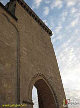 Foto del giorno