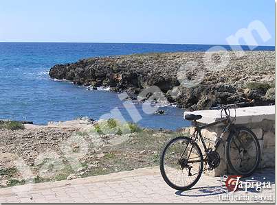 la marina di capilungo