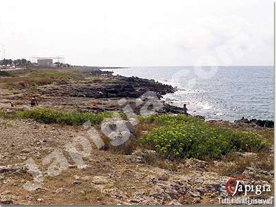 localit posto rosso marina di alliste