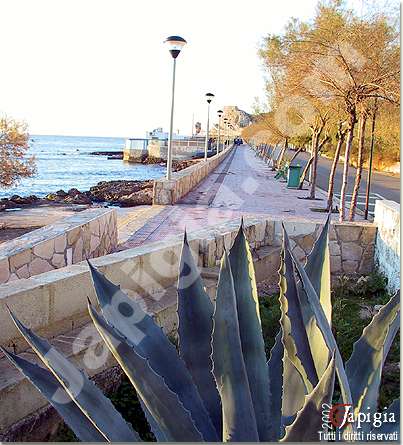 la passeggiata di lido conchiglie