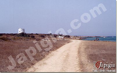 lido pizzo