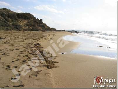 la spiaggia nei pressi dell'isola di pazze