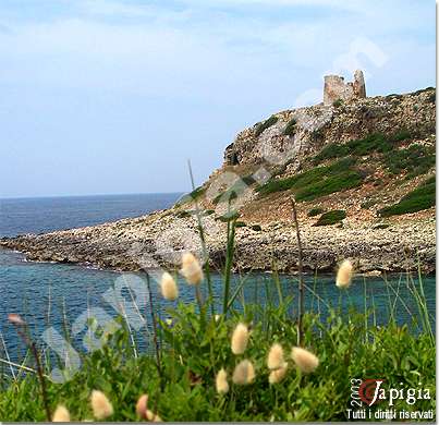 porto selvaggio e l'antica torre di guardia