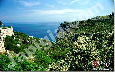 il canale del rio lungo la costa adriatica