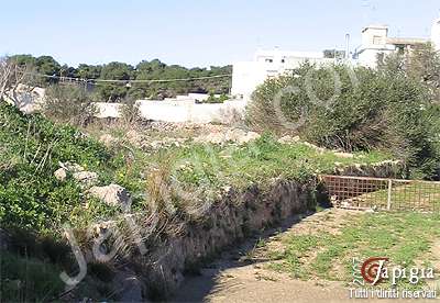 i canaloni di casarano