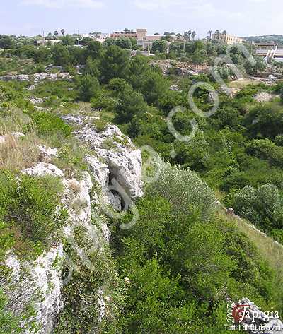 i canaloni di leuca