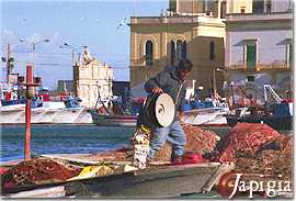 gallipoli, pescatore