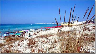 gallipoli, la spiaggia