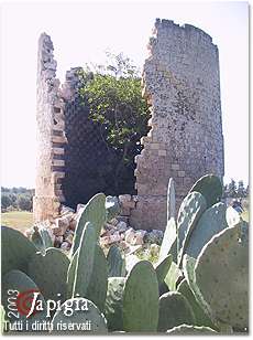 parco del rauccio, la torre colombaia