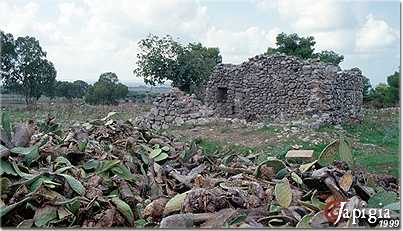 matino, di sant eleuterio