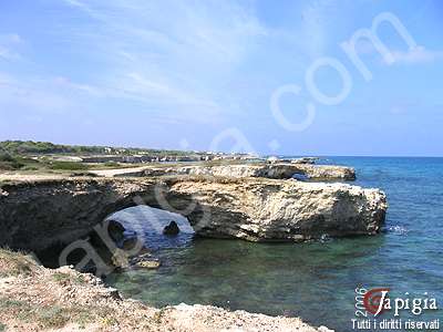 torre dell'orso