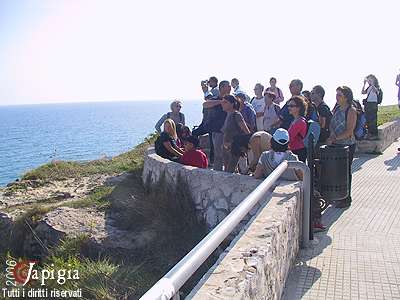 torre dell'orso