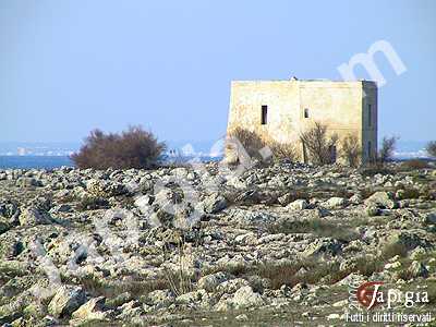 torre inserraglio