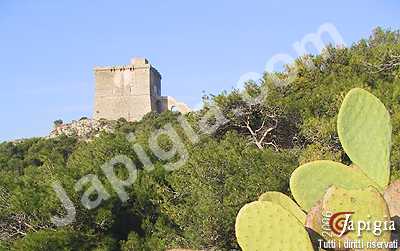 torre dell'alto a santa caterina di nard