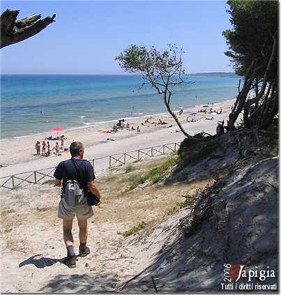 la spiaggia degli alimini