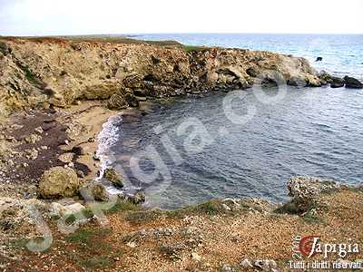 spiaggia della palascia