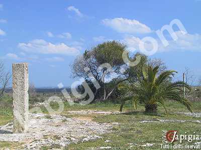 moltevergine il menhir