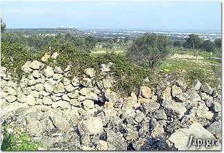 Panorama visto dalla Specchia