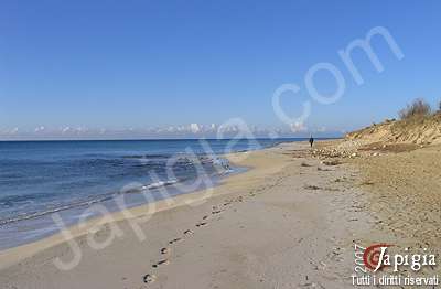 la spiaggia pesculuse