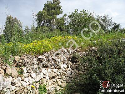 antica fornace per la cottura della calce