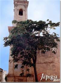 tiggiano, il campanile