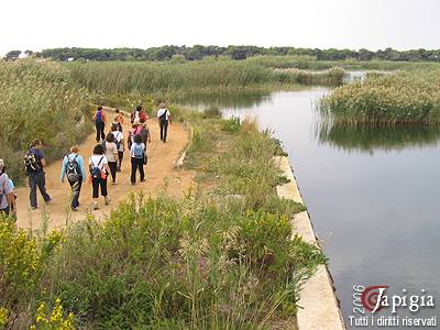 il gruppo trekking