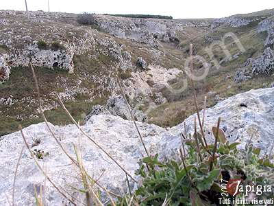 il canalone di porto badisco