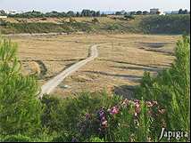Percorsi del Parco