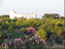Il Parco dei Fossili
