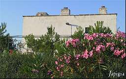 Il Museo visto dall'esterno