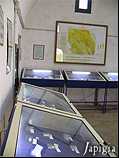 Interno del  Museo dei Fossili