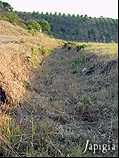 Il Parco dei Fossili