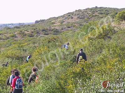 avetrana: monte della marina