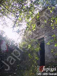 bosco delle pianelle a martina franca